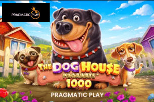 Game 4 Betfun Casino